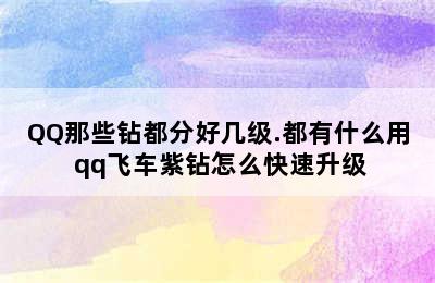 QQ那些钻都分好几级.都有什么用 qq飞车紫钻怎么快速升级